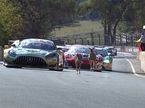 Кенгуру на трассе Mount Panorama, фото пресс-службы гонки