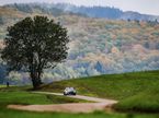 Валттери Боттас тренируется во Франции за рулём раллийного Citroen C3R5, фото из Twitter гонщика
