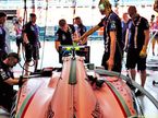 «Cтегозавр» на машине Force India