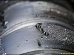 Изношенные шины Pirelli