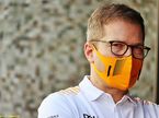Андреас Зайдль, руководитель команды McLaren
