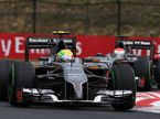 Гран При Венгрии. Гонщики Sauber